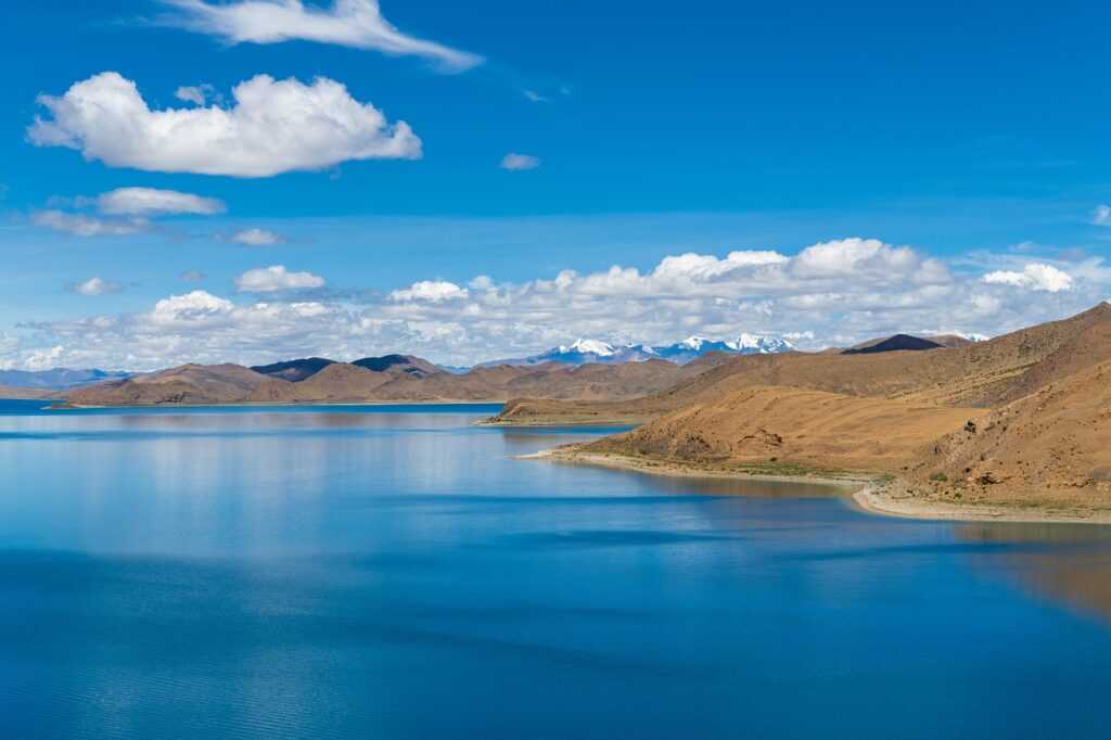 how much is the rogrand525 game on pc