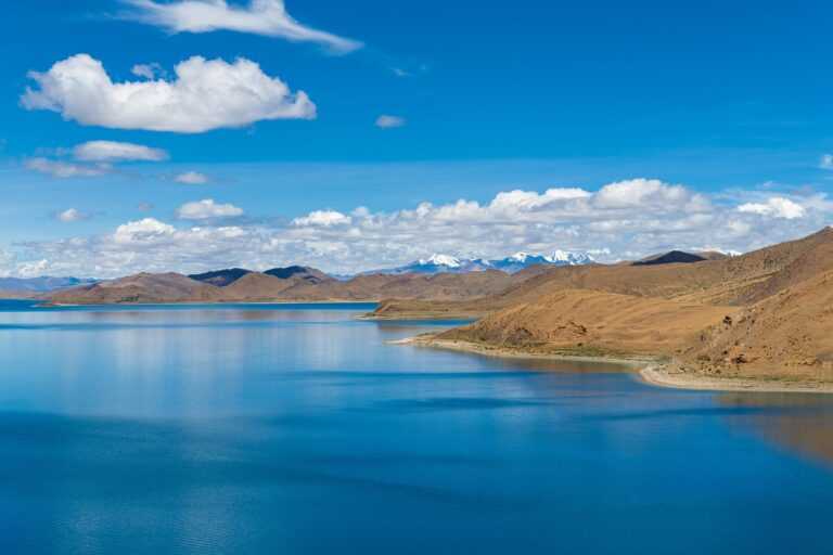 how much is the rogrand525 game on pc