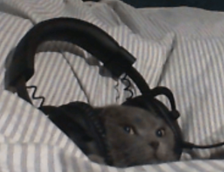 how to change server in innerlifthunt game