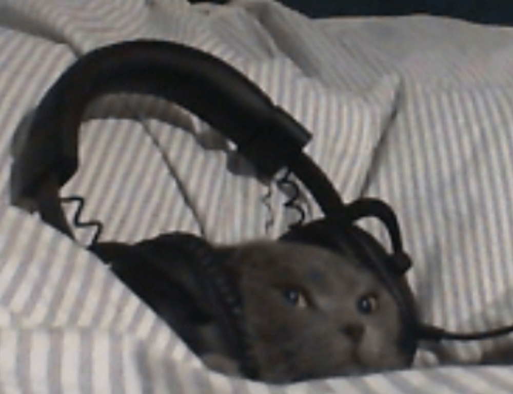 how to change server in innerlifthunt game