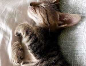 problem on computer 8379xnbs8e02328ws