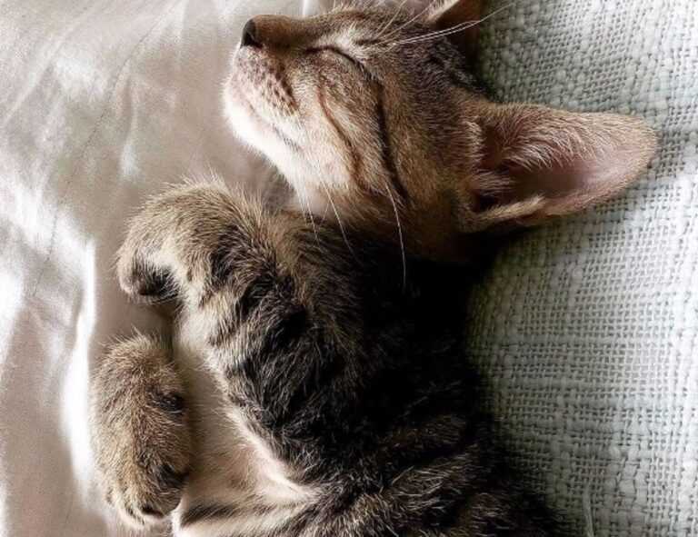 problem on computer 8379xnbs8e02328ws