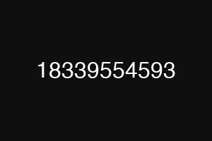18339554593