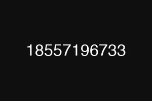 18557196733