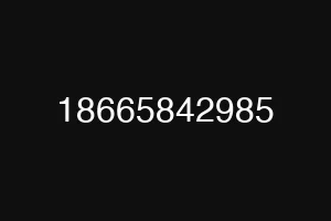 18665842985