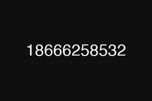 18666258532