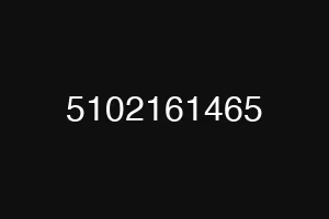 5102161465