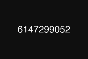 6147299052