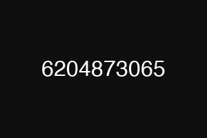 6204873065