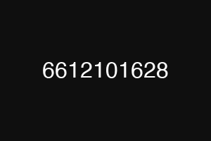 6612101628