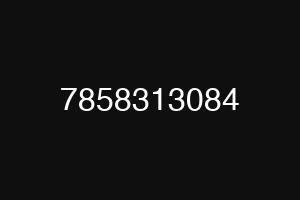 7858313084