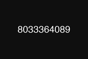8033364089