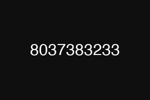 8037383233