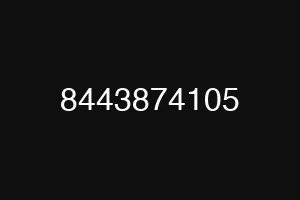 8443874105