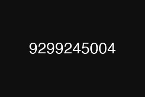 9299245004