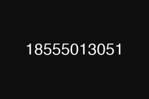 18555013051