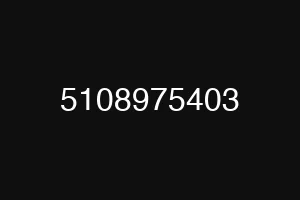 5108975403