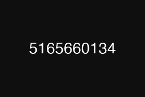 5165660134