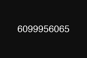 6099956065