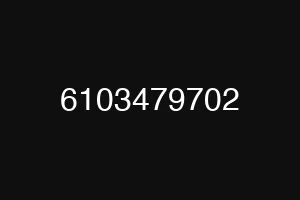 6103479702