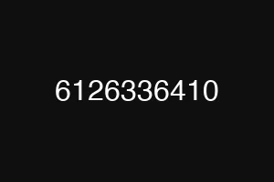 6126336410