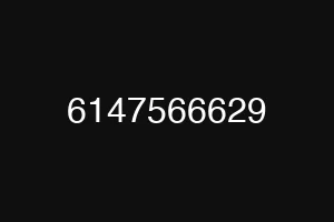 6147566629