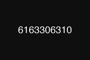 6163306310