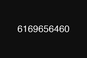 6169656460
