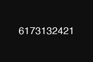 6173132421