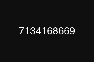 7134168669