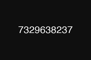 7329638237