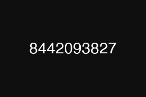 8442093827