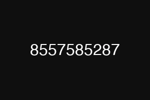 8557585287