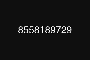 8558189729