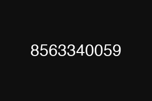 8563340059