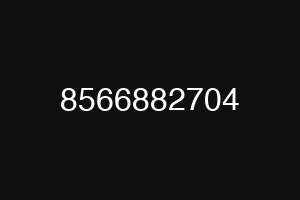 8566882704