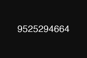 9525294664